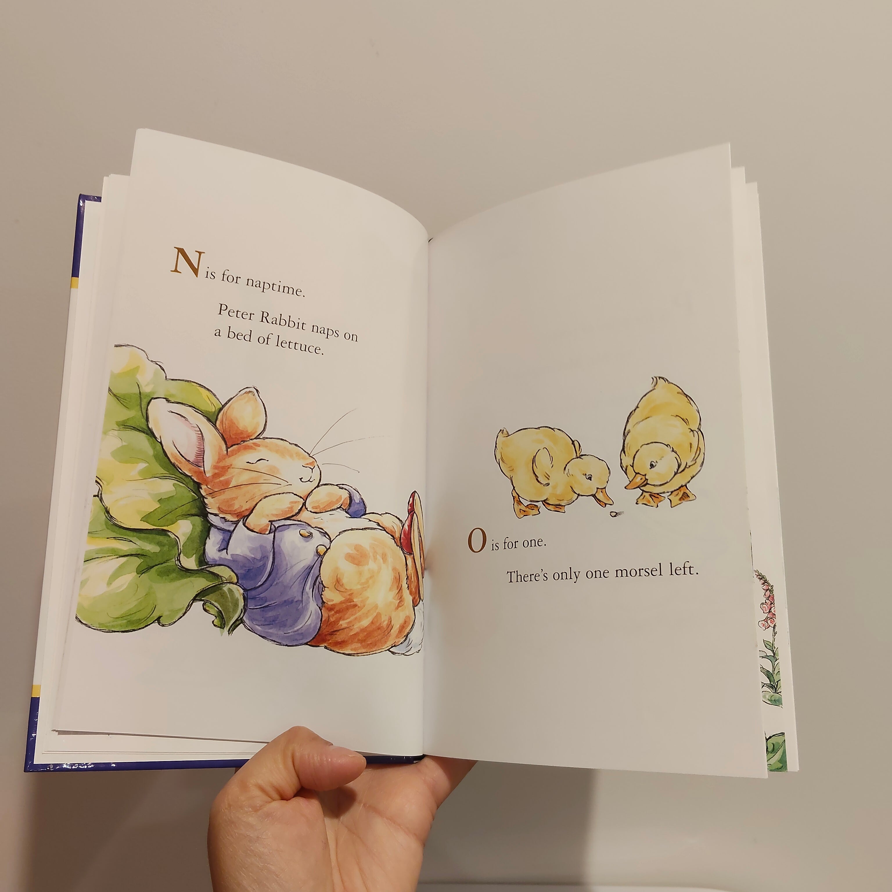 Peter Rabbit's ABC Book published by Frederick Warne Hardcover