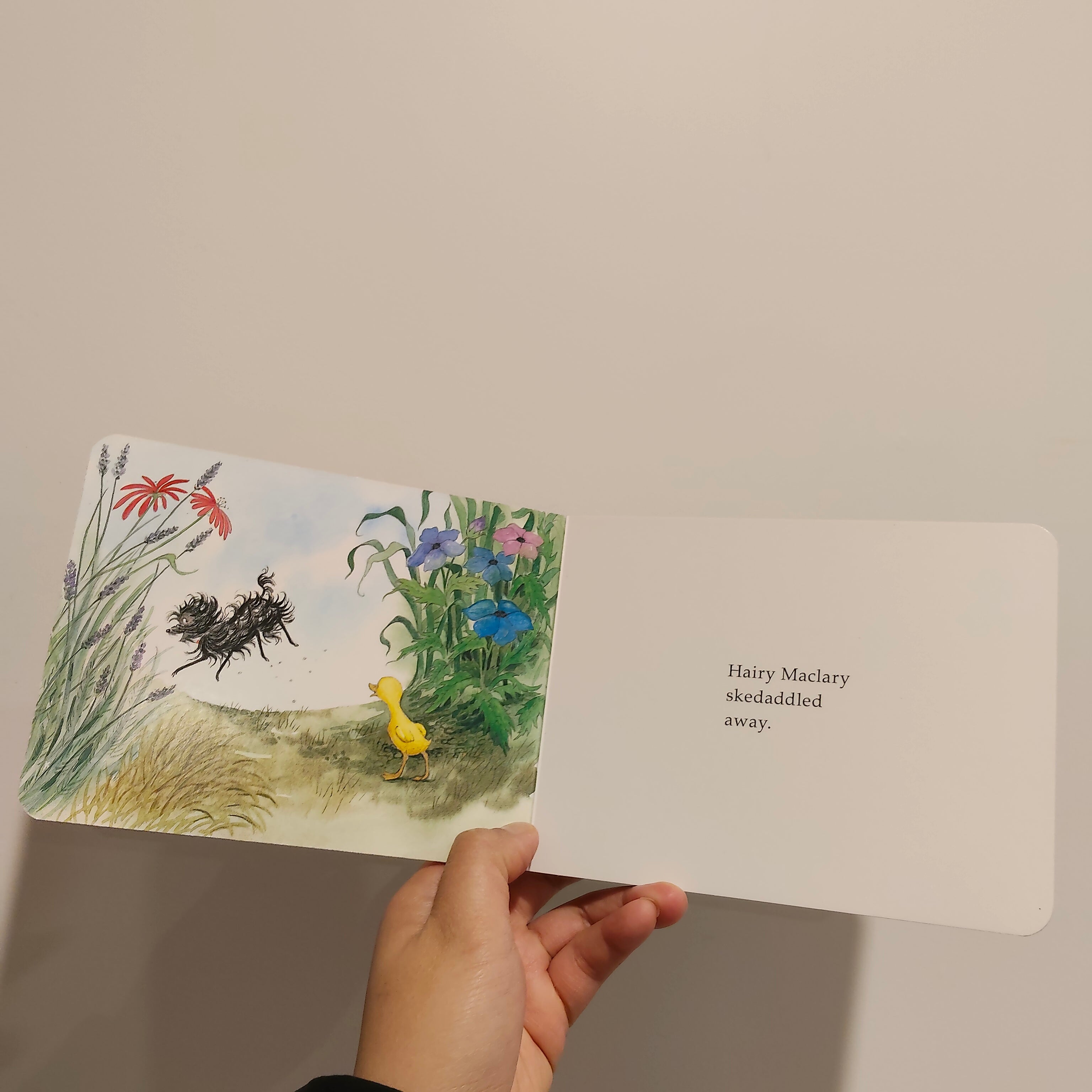 Hairy Maclary and Zachary Quack by Lynley Dodd Book HARDCOVER