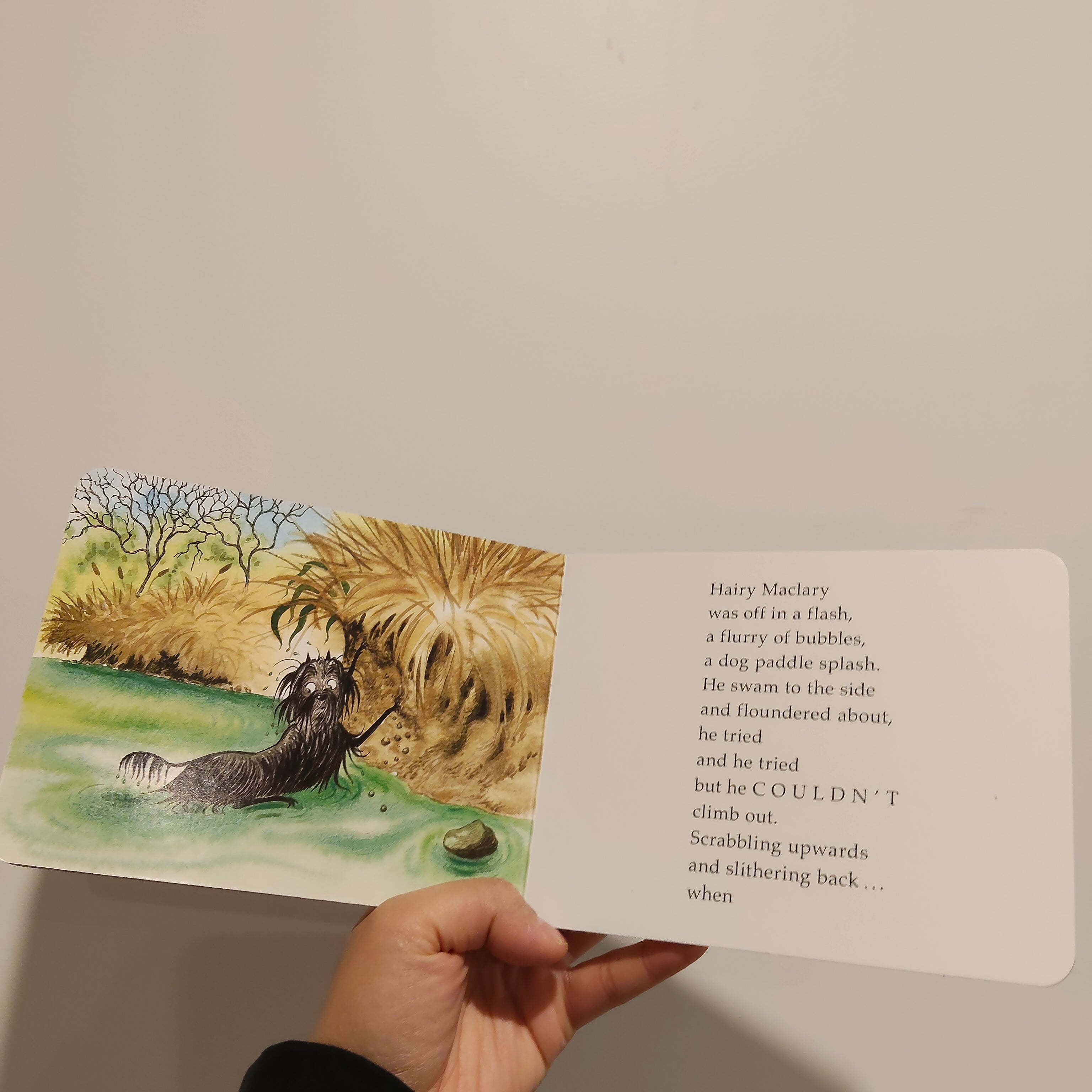 Hairy Maclary and Zachary Quack by Lynley Dodd Book HARDCOVER