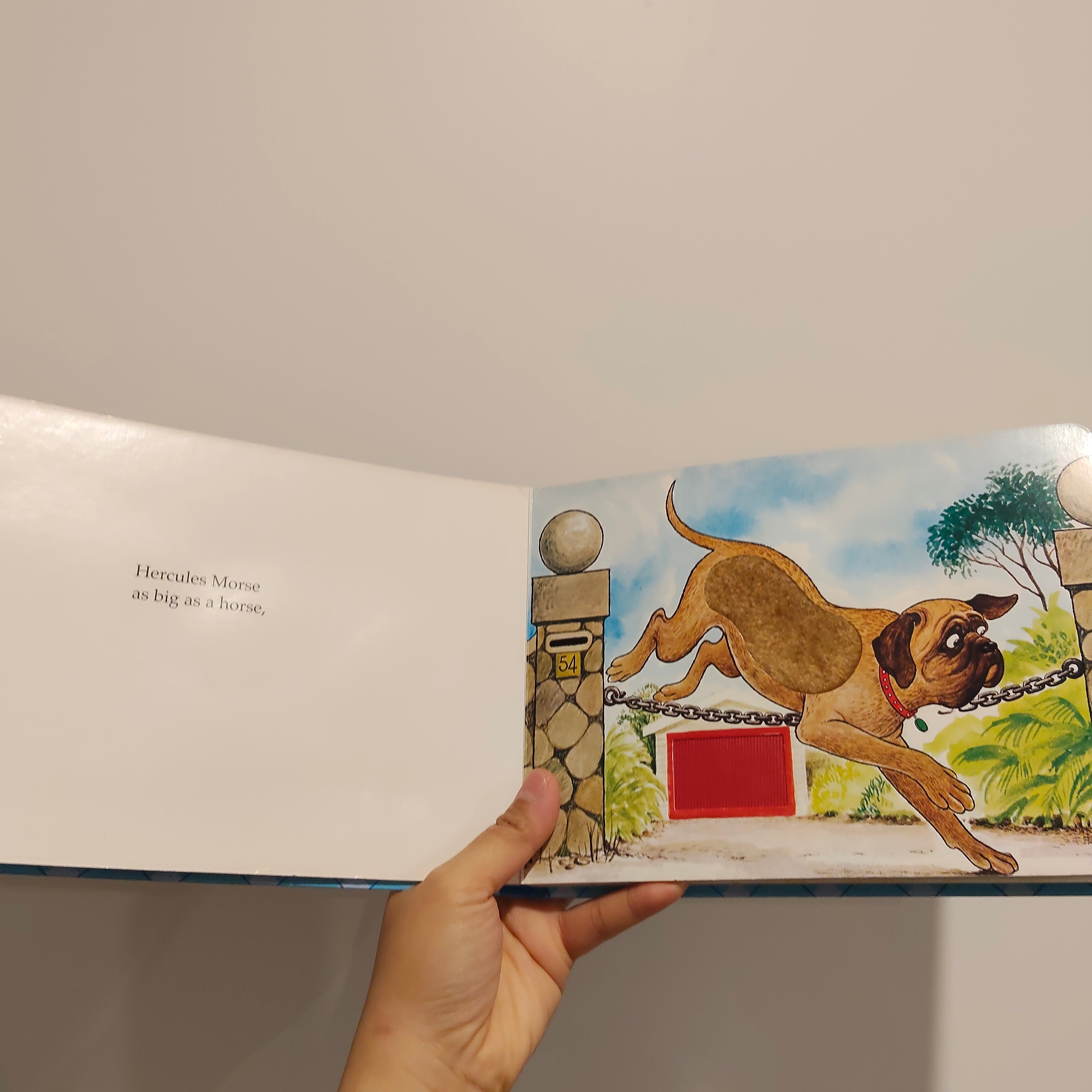 "Hairy Maclary and Friends: A Touch & Feel Book" by Lynley Dodd BOARDBOOK