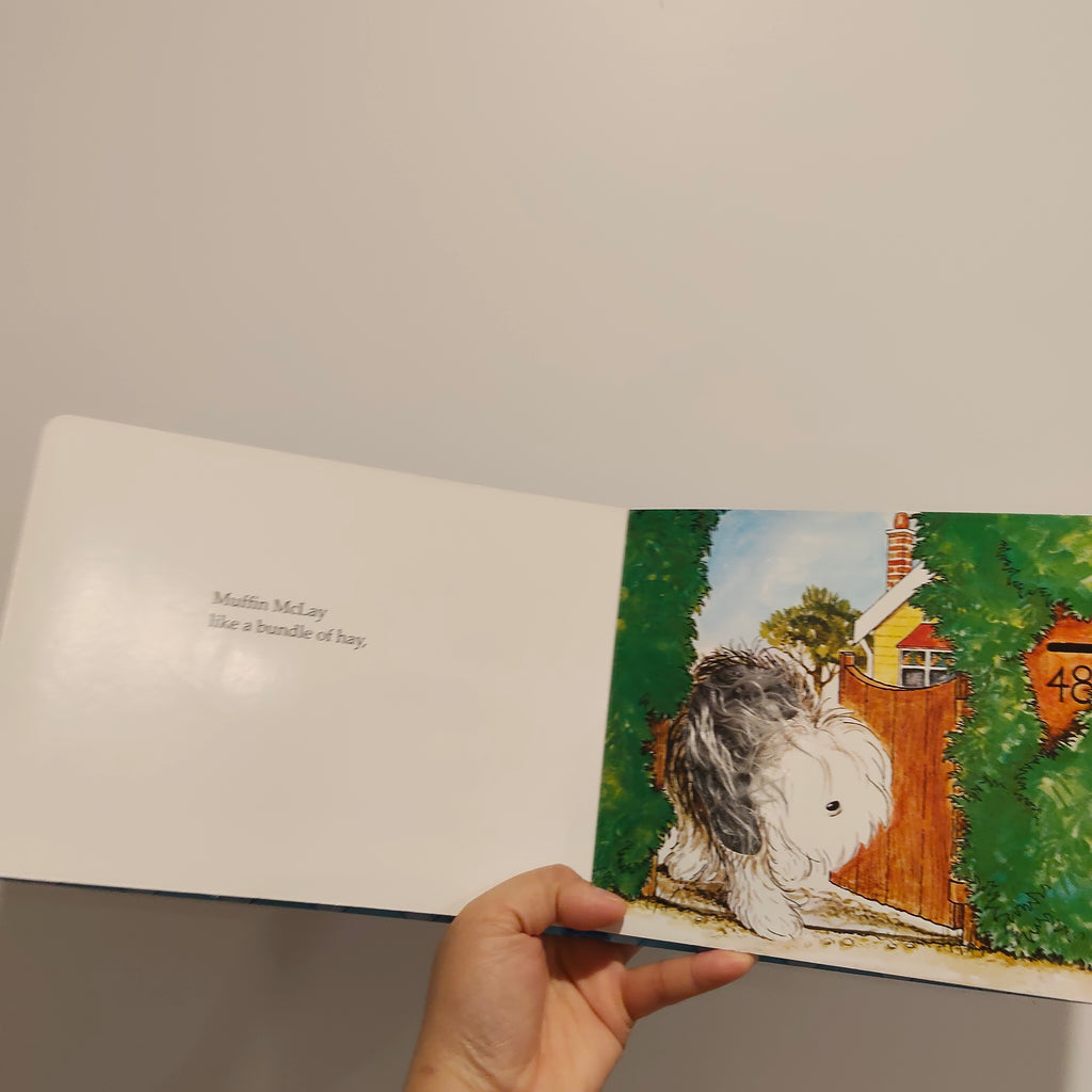 "Hairy Maclary and Friends: A Touch & Feel Book" by Lynley Dodd BOARDBOOK