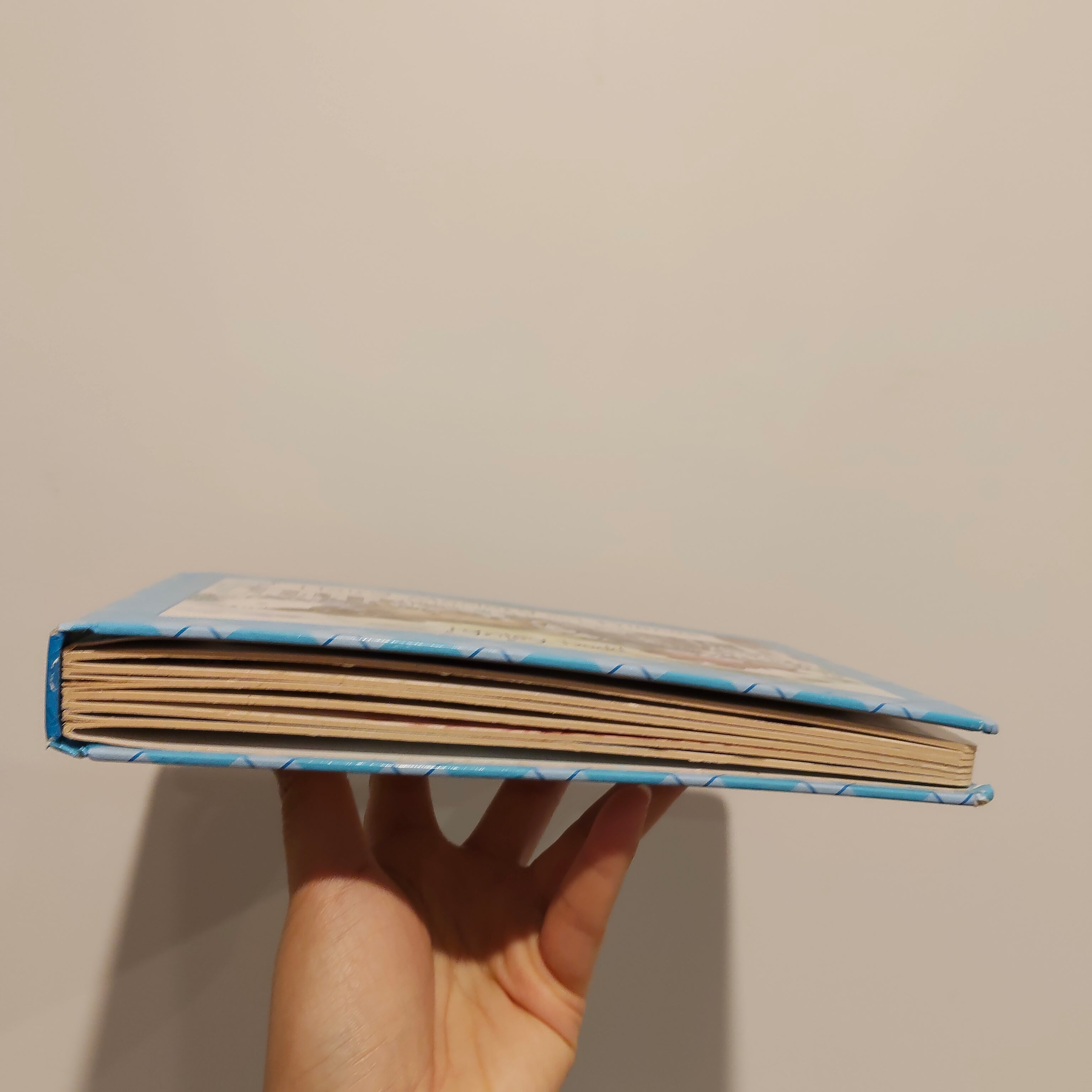 "Hairy Maclary and Friends: A Touch & Feel Book" by Lynley Dodd BOARDBOOK