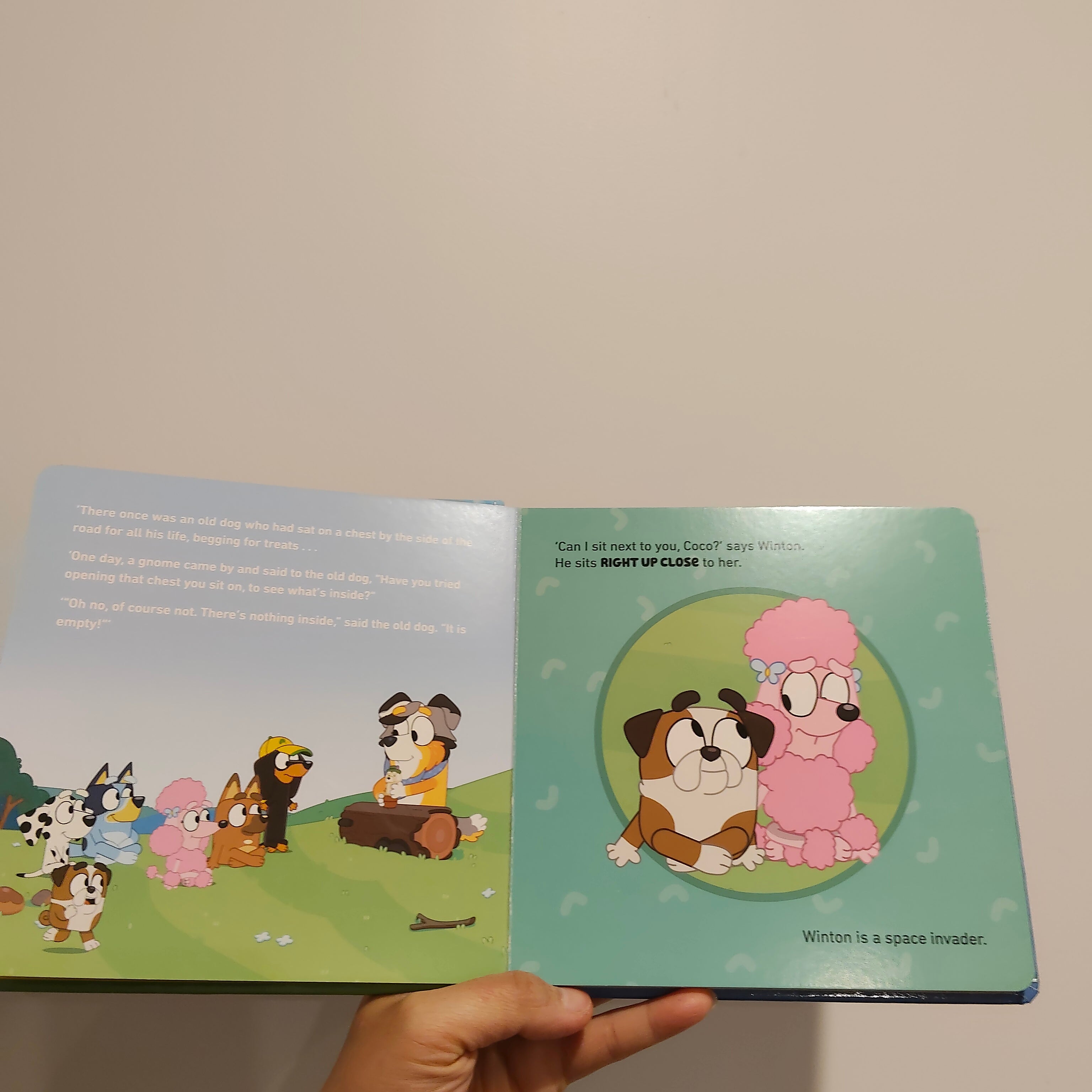 BLUEY Typewriter lift-the-flap BOARDBOOK