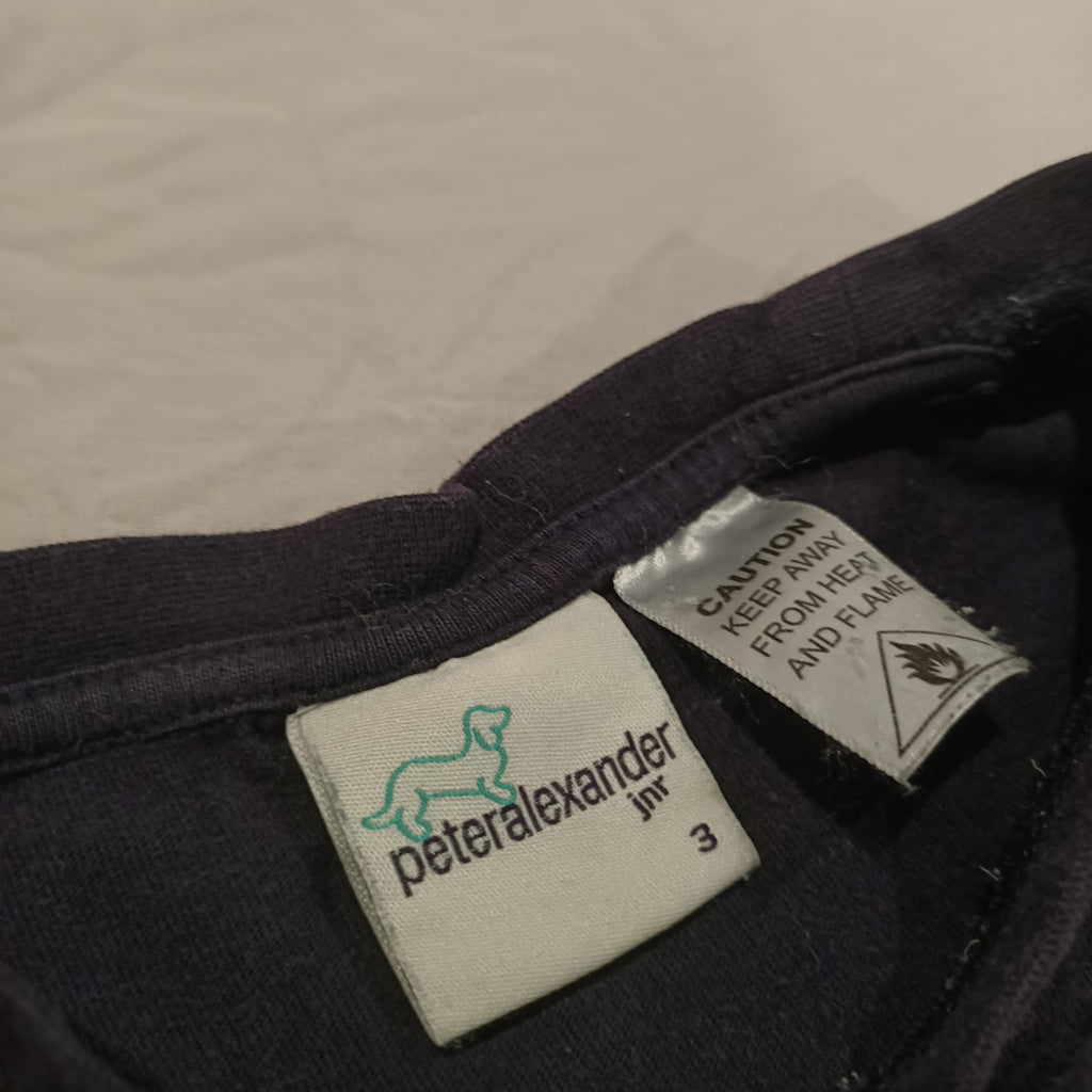 PETER ALEXANDER tops size 3 long sleeve T-Rex