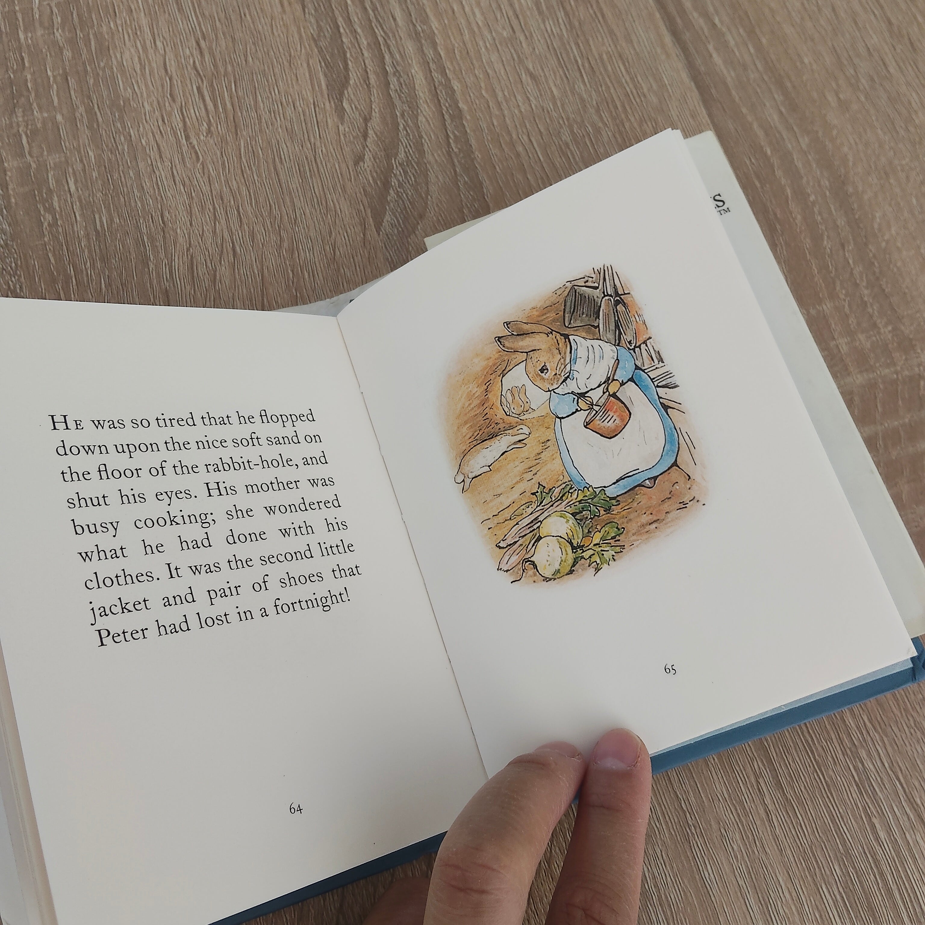 The Tale of Peter Rabbit Book