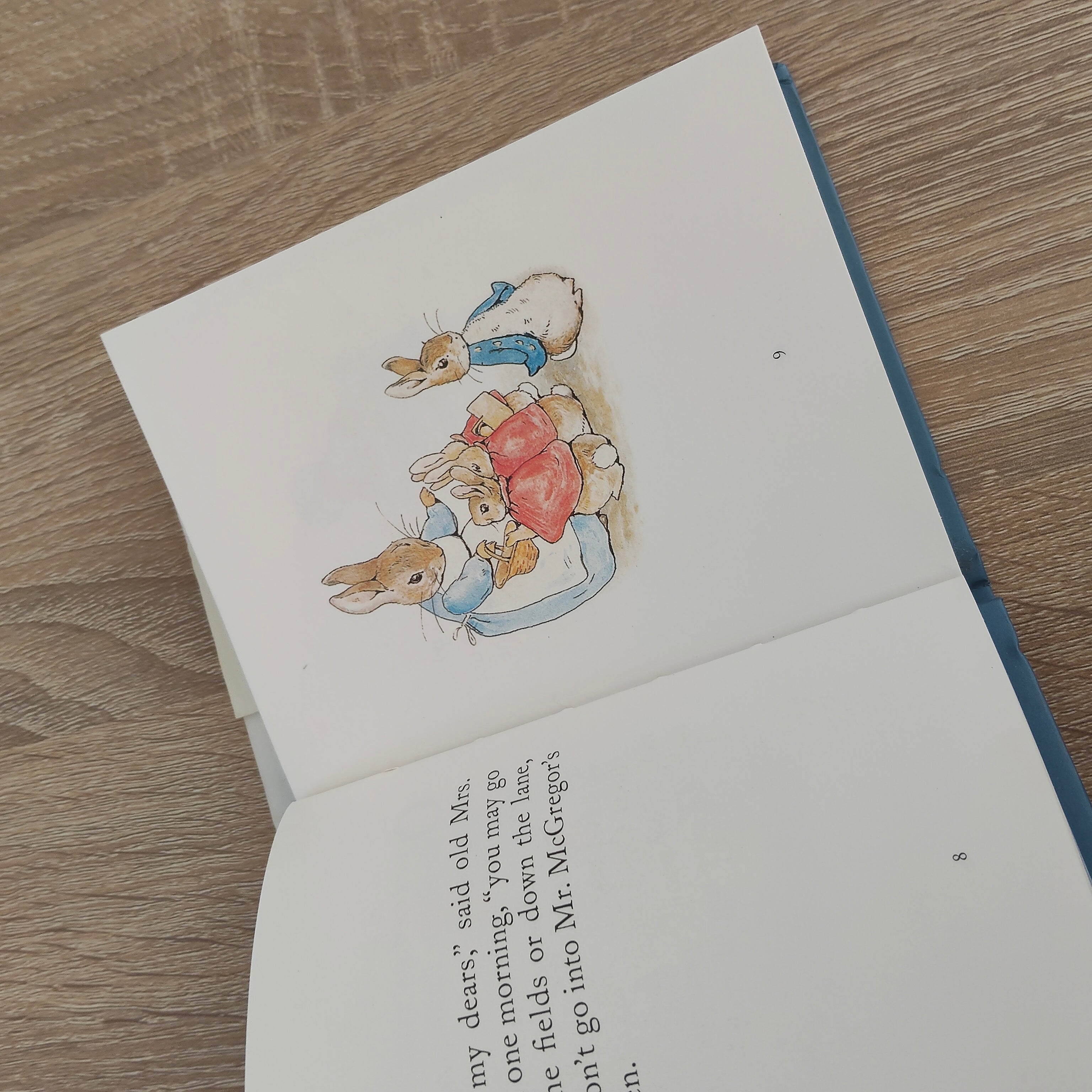 The Tale of Peter Rabbit Book