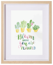 Load image into Gallery viewer, END OF LINE - Bloom Where You Are Planted A4 Print
