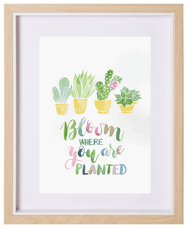 END OF LINE - Bloom Where You Are Planted A4 Print